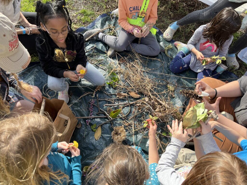 Educación en Espacios Abiertos